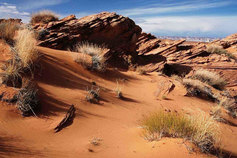 Wilderness