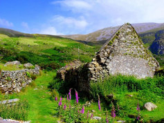 Irish landscape