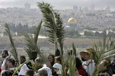 Palm sunday in jeruselem