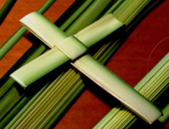 Palm cross