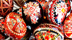 Eggs april 2014 048