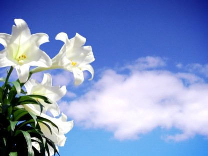 Slideshow image