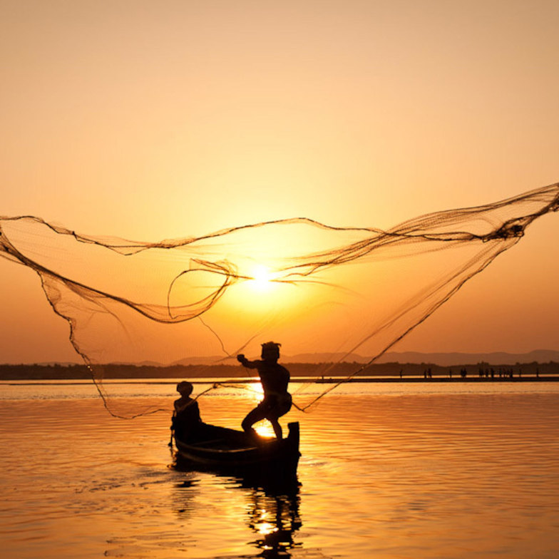 Slideshow image
